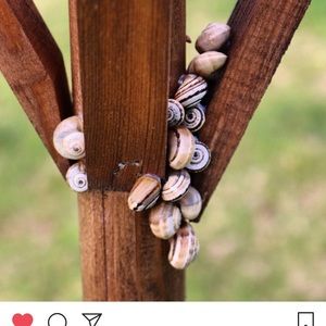 Meet your Posher, Nasim